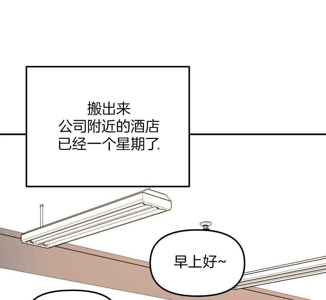 无根之树简历漫画,第39话2图