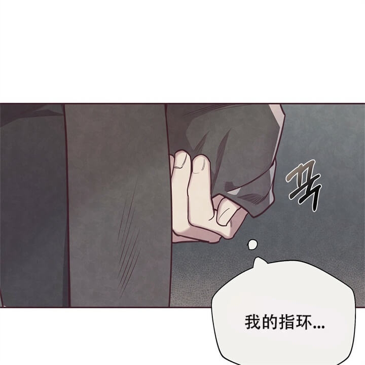 命运的指环小说漫画,第5话1图