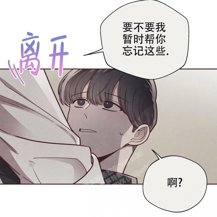 命运的指环漫画在哪里看漫画,第46话1图