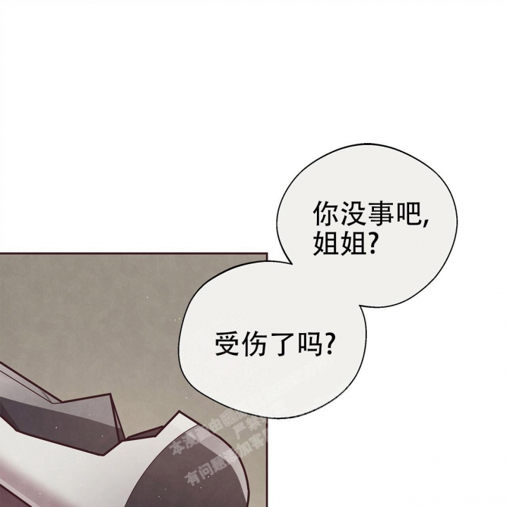 命运的指环小说在线观看漫画,第48话2图