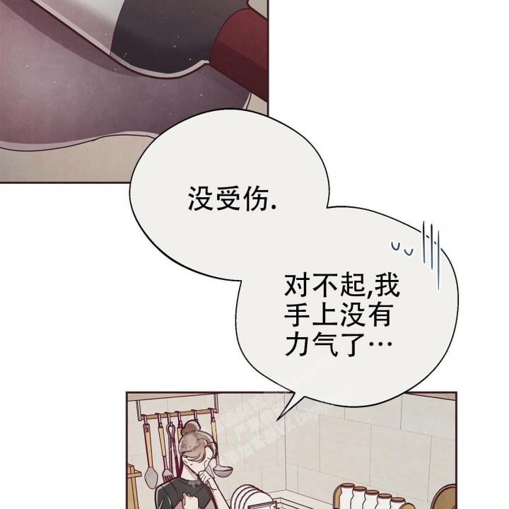 命运的指环漫画完结了吗漫画,第48话1图