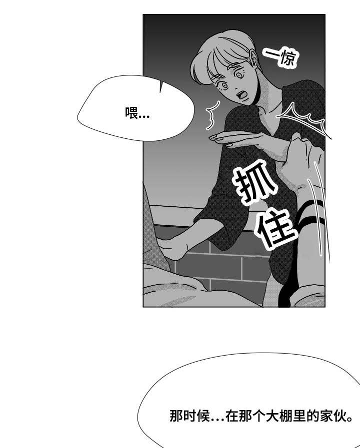 恶魔果实图鉴漫画,第36话2图