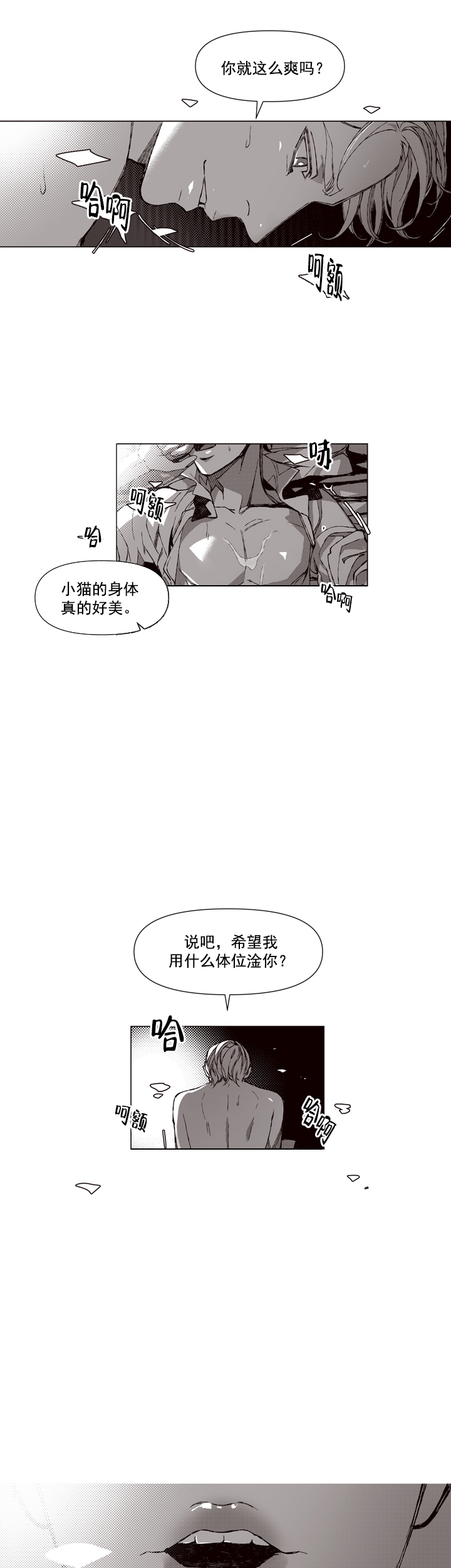 我的猫咖漫画,第1话1图