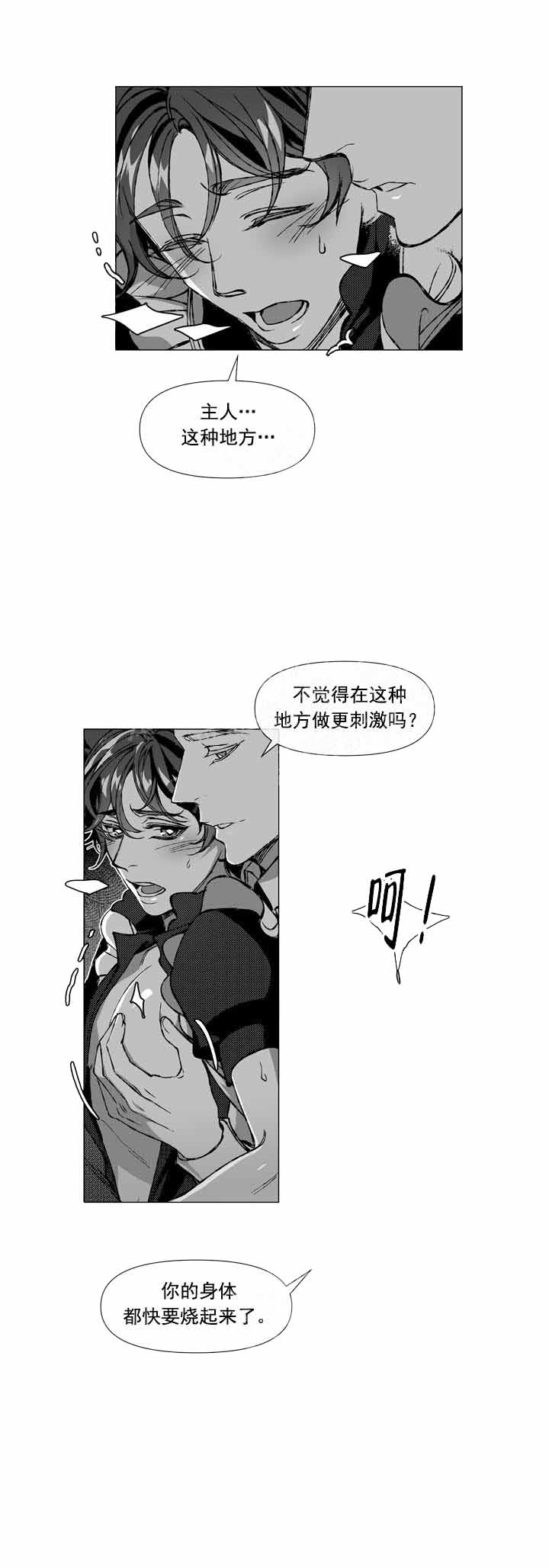 我的猫会后空翻是什么意思漫画,第4话1图