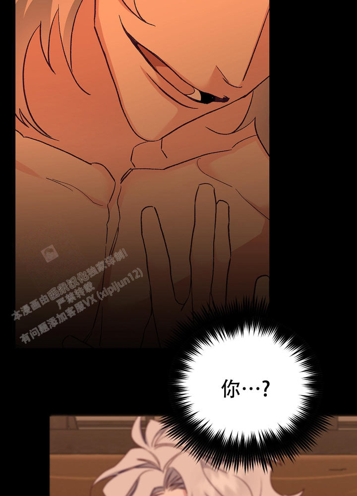虎从天降漫画别名漫画,第13话2图