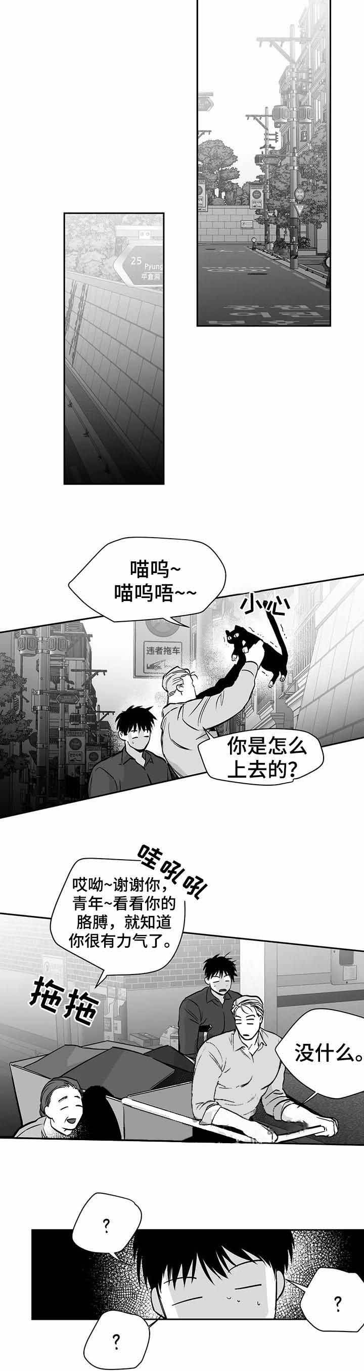 不走路腿疼是什么原因漫画,第75话1图