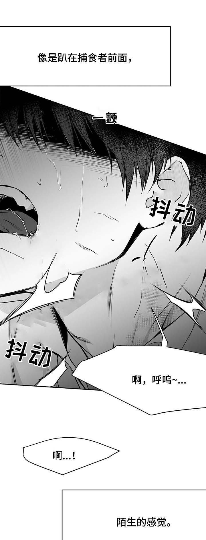 不走路的腿漫画,第65话1图