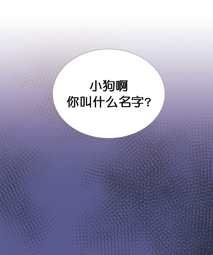 俘虏兵电视剧40集在线观看漫画,第4话1图