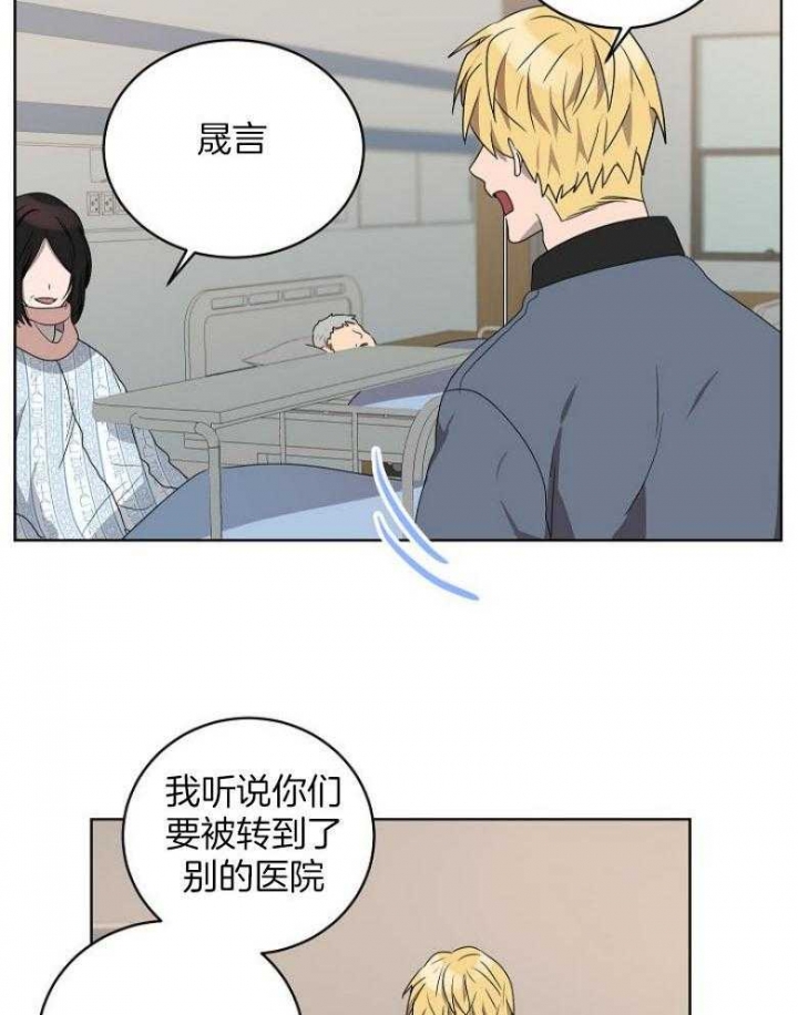 10m内禁止接近又叫做什么?漫画,第141话2图