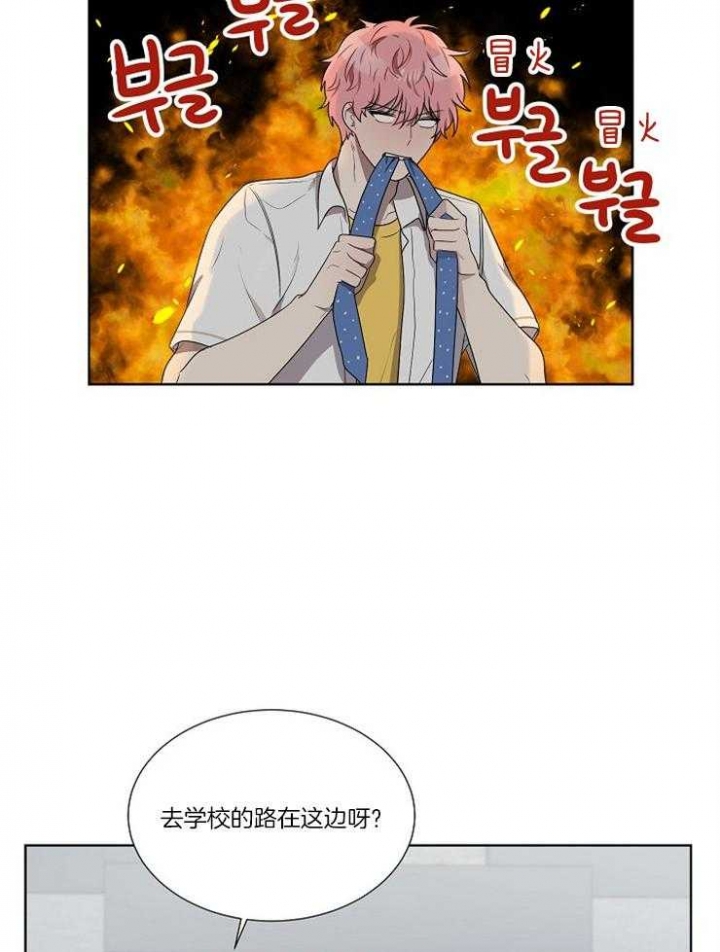 10m内禁止接近又叫做什么?漫画,第69话2图