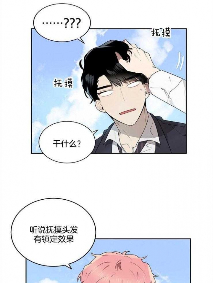 10m内禁止接近哪几章有车漫画,第10话1图