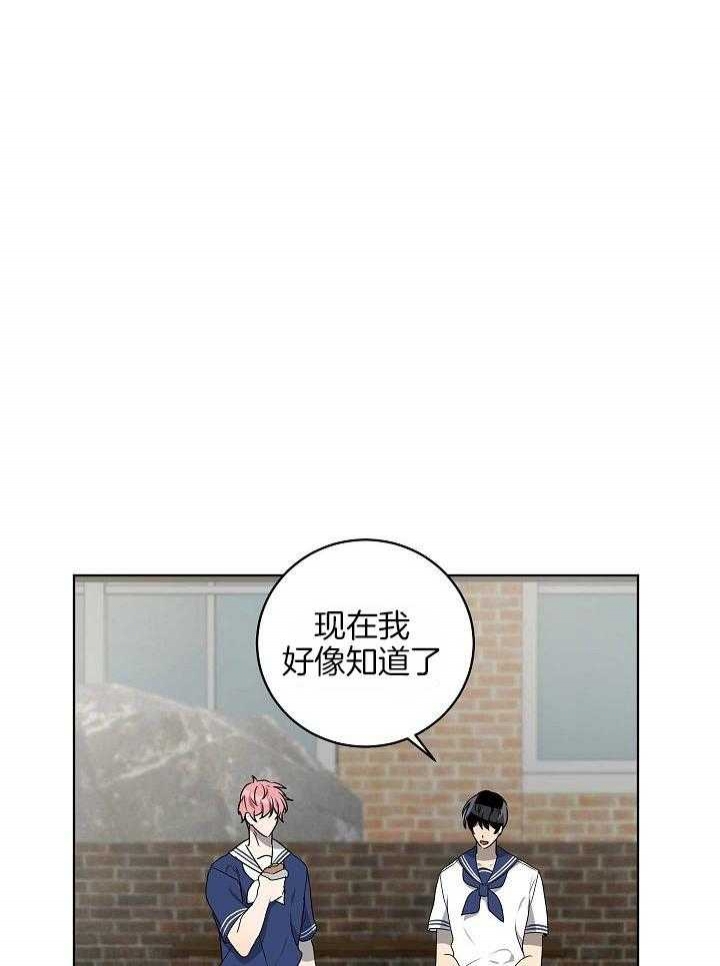 10m内禁止接近有肉嘛漫画,第155话2图