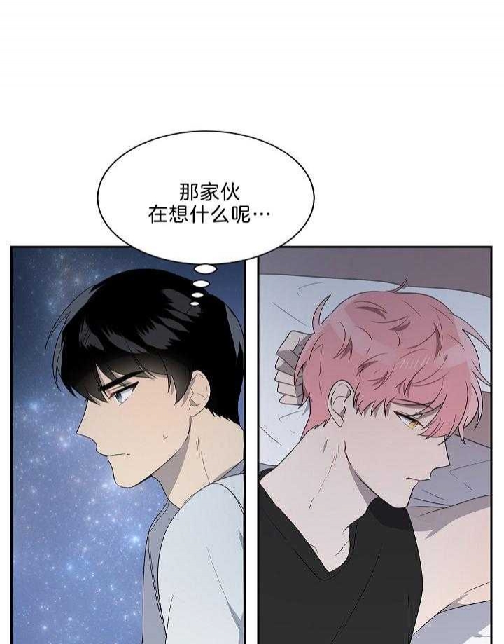 10m内禁止接近又叫做什么?漫画,第49话1图