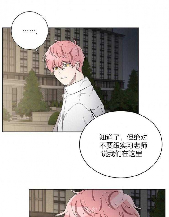 10m内禁止接近又叫做什么?漫画,第79话2图