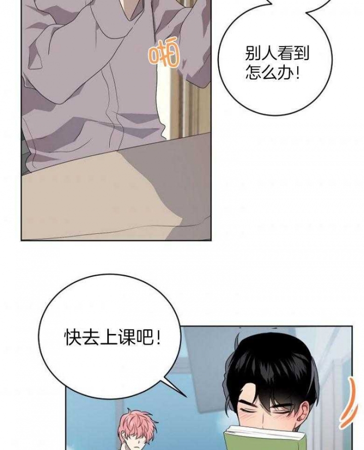 10m内禁止接近又叫做什么?漫画,第137话2图