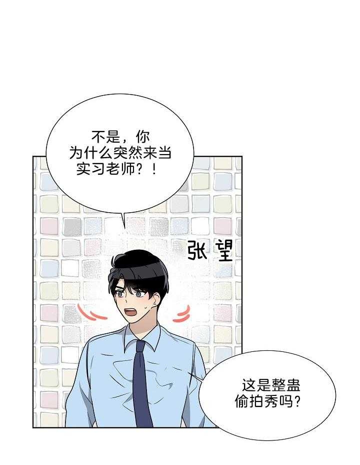 10m内禁止接近又叫做什么?漫画,第64话2图