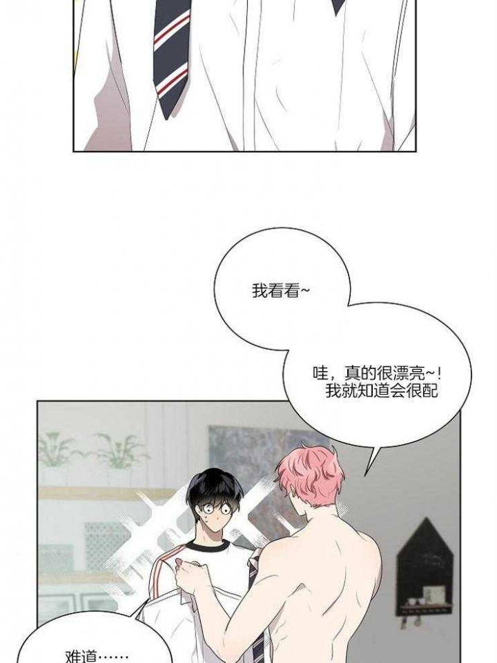 10m内禁止接近又叫做什么?漫画,第71话1图