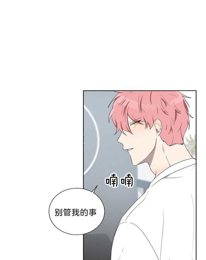 10m内禁止接近又叫做什么?漫画,第55话2图