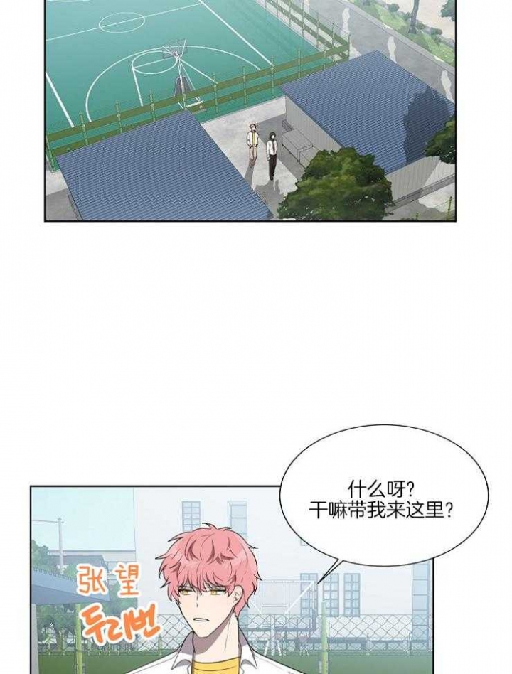 10m内禁止接近在哪看漫画,第69话1图