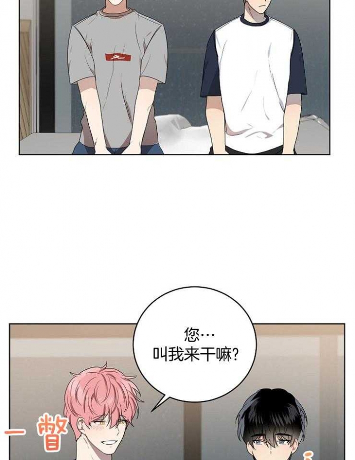 10m内禁止接近又叫做什么?漫画,第127话1图