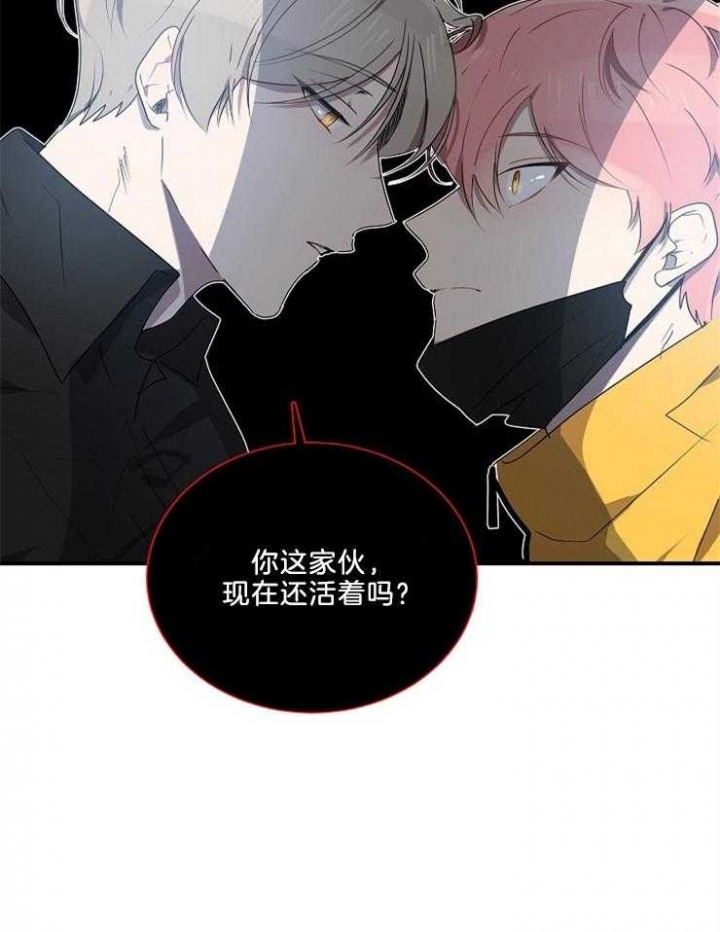 10m内禁止接近作者是谁漫画,第29话2图