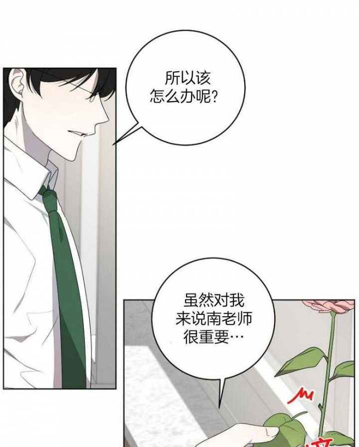 10m内禁止接近又叫做什么?漫画,第146话2图