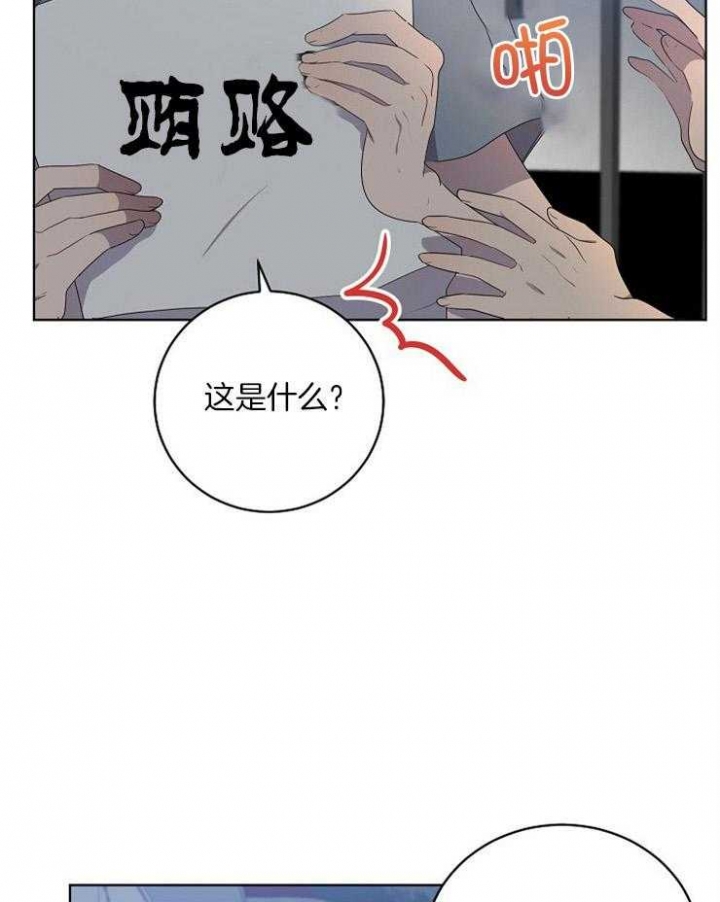 10m内禁止接近下拉免费漫画,第104话1图