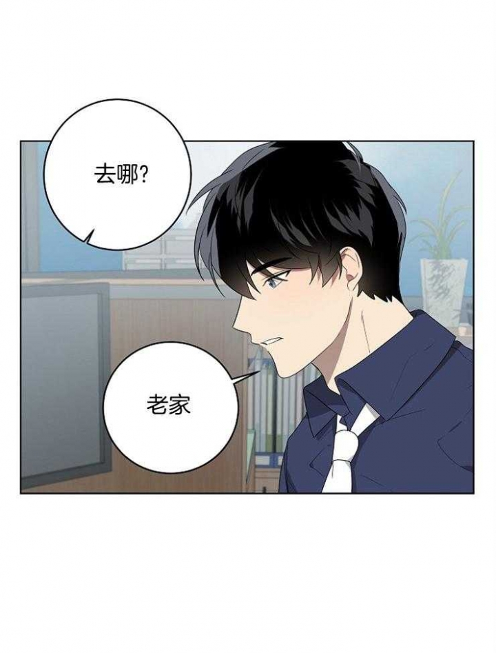 10m内禁止接近在哪看漫画,第115话1图