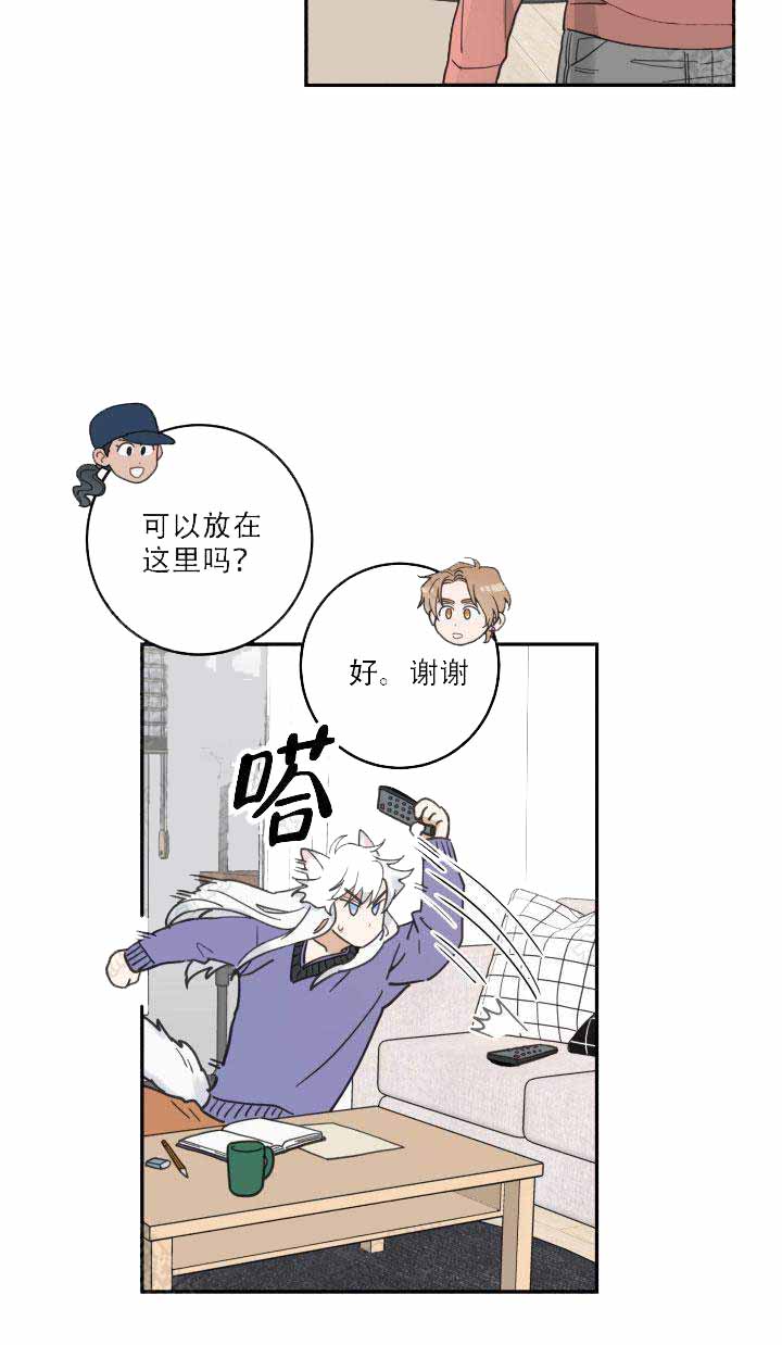 我唯一的猫漫画全集漫画,第13话1图