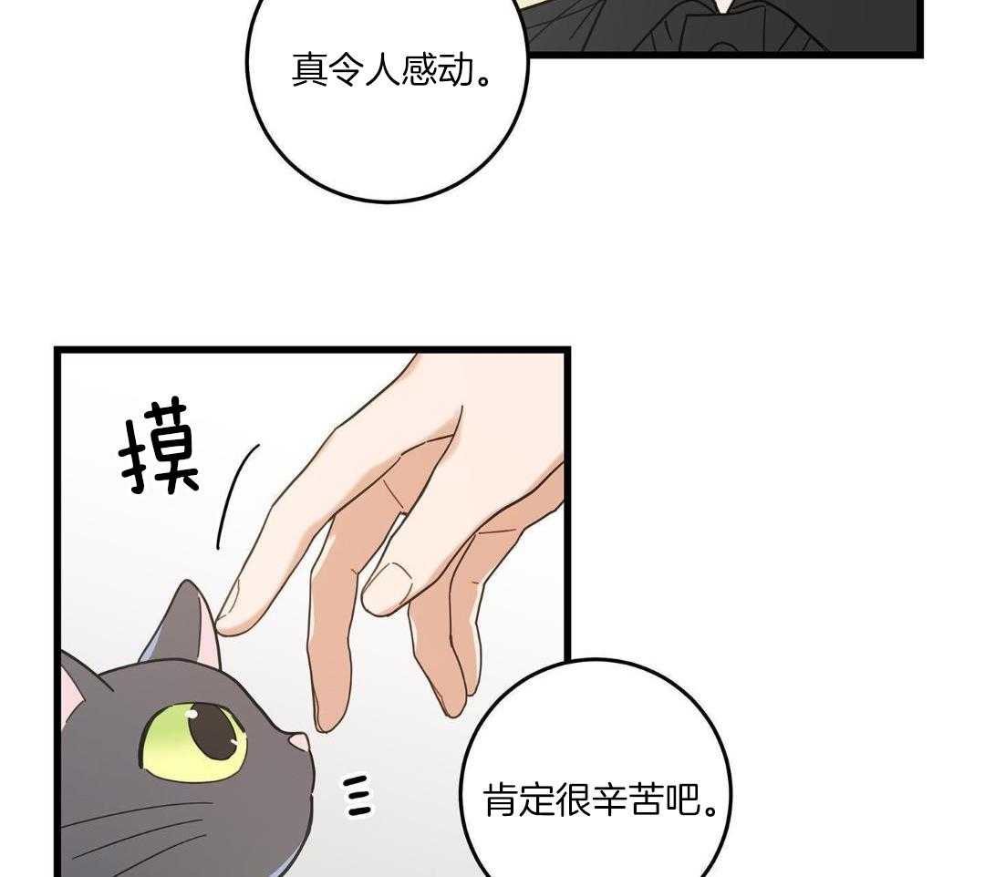 我唯一的守护者电视剧漫画,第40话2图