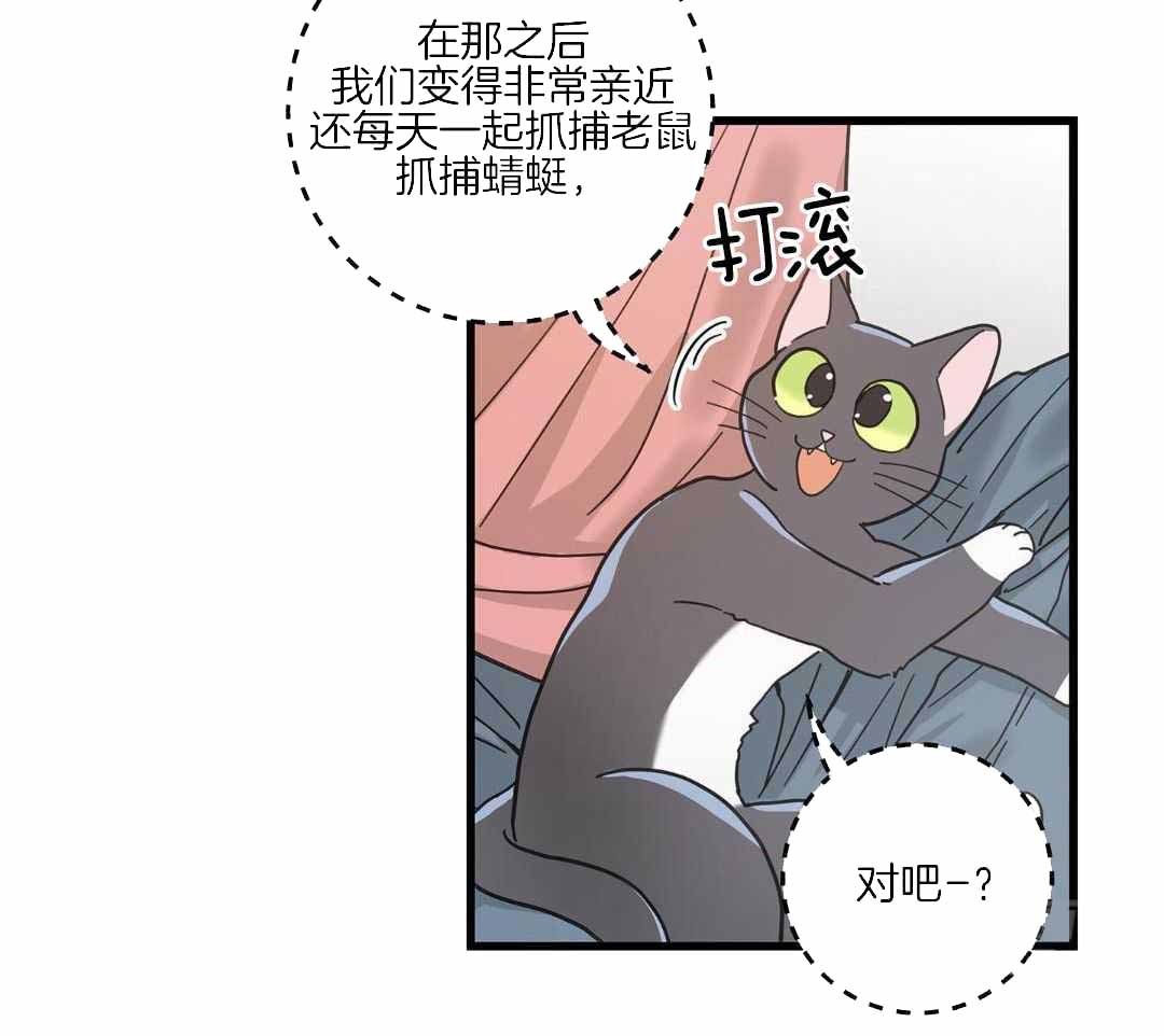 我唯一的守护者电视剧漫画,第40话2图