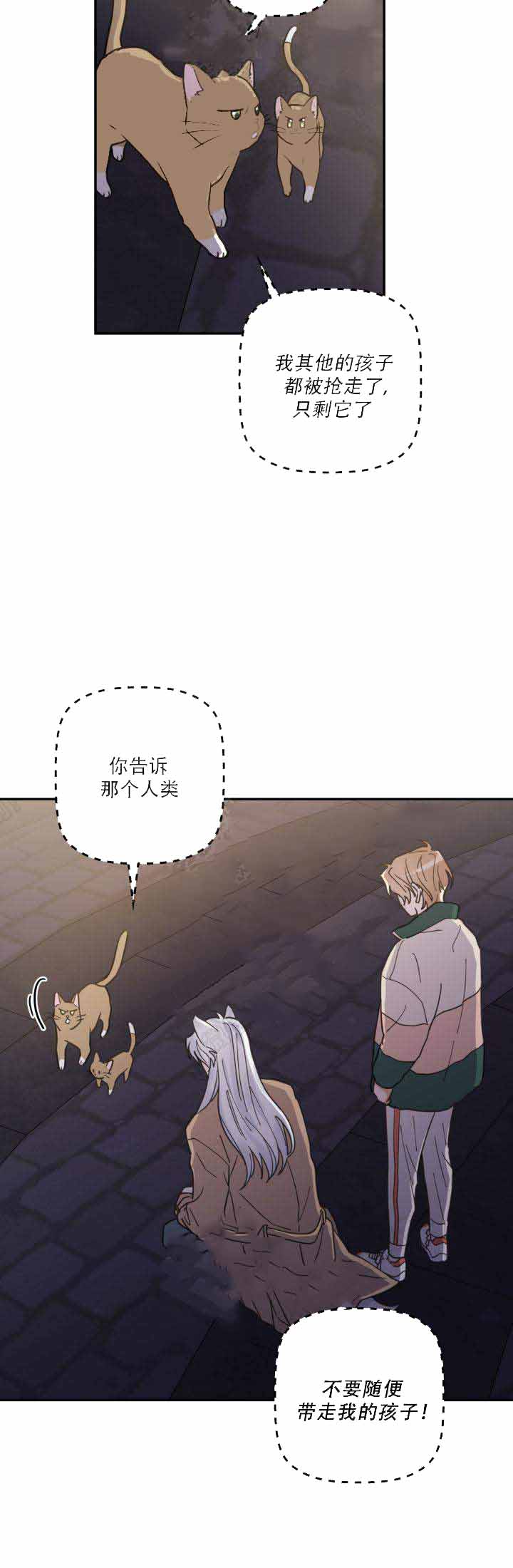 我唯一的猫猫漫画,第18话2图