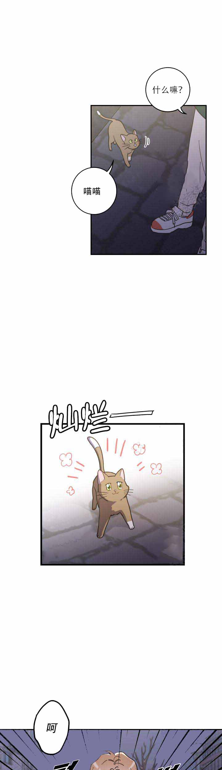 我唯一的猫用英语怎么说漫画,第17话1图