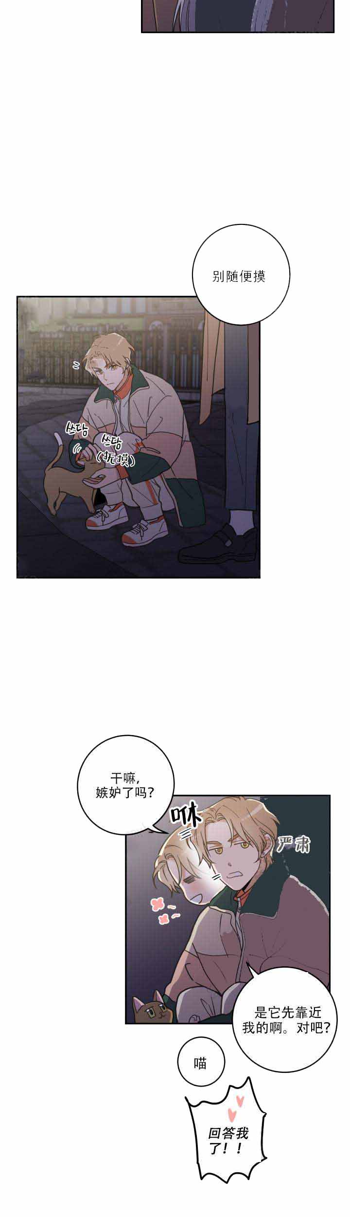 我唯一的猫用英语怎么说漫画,第17话1图