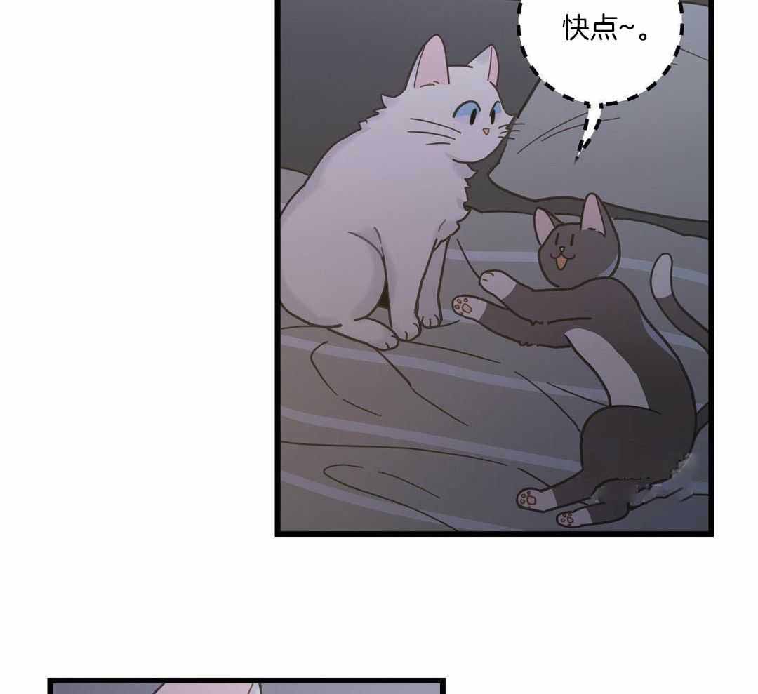 我唯一的猫猫漫画百度云漫画,第42话1图