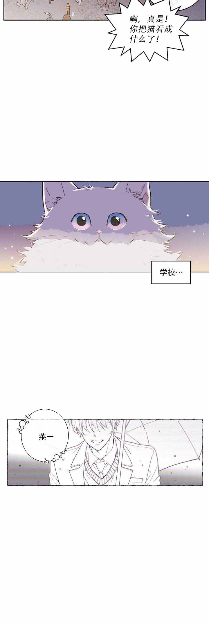 我唯一的猫猫漫画百度云漫画,第1话1图