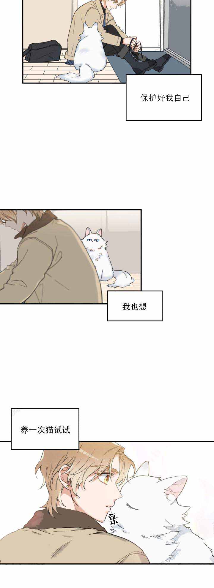 独一无二的猫猫漫画,第12话1图