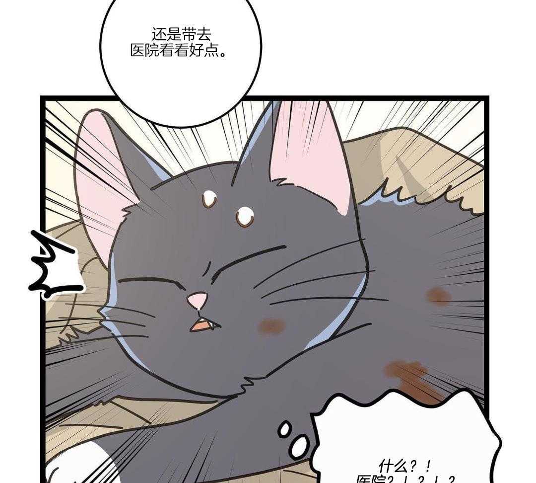 我唯一的猫游戏漫画,第35话1图