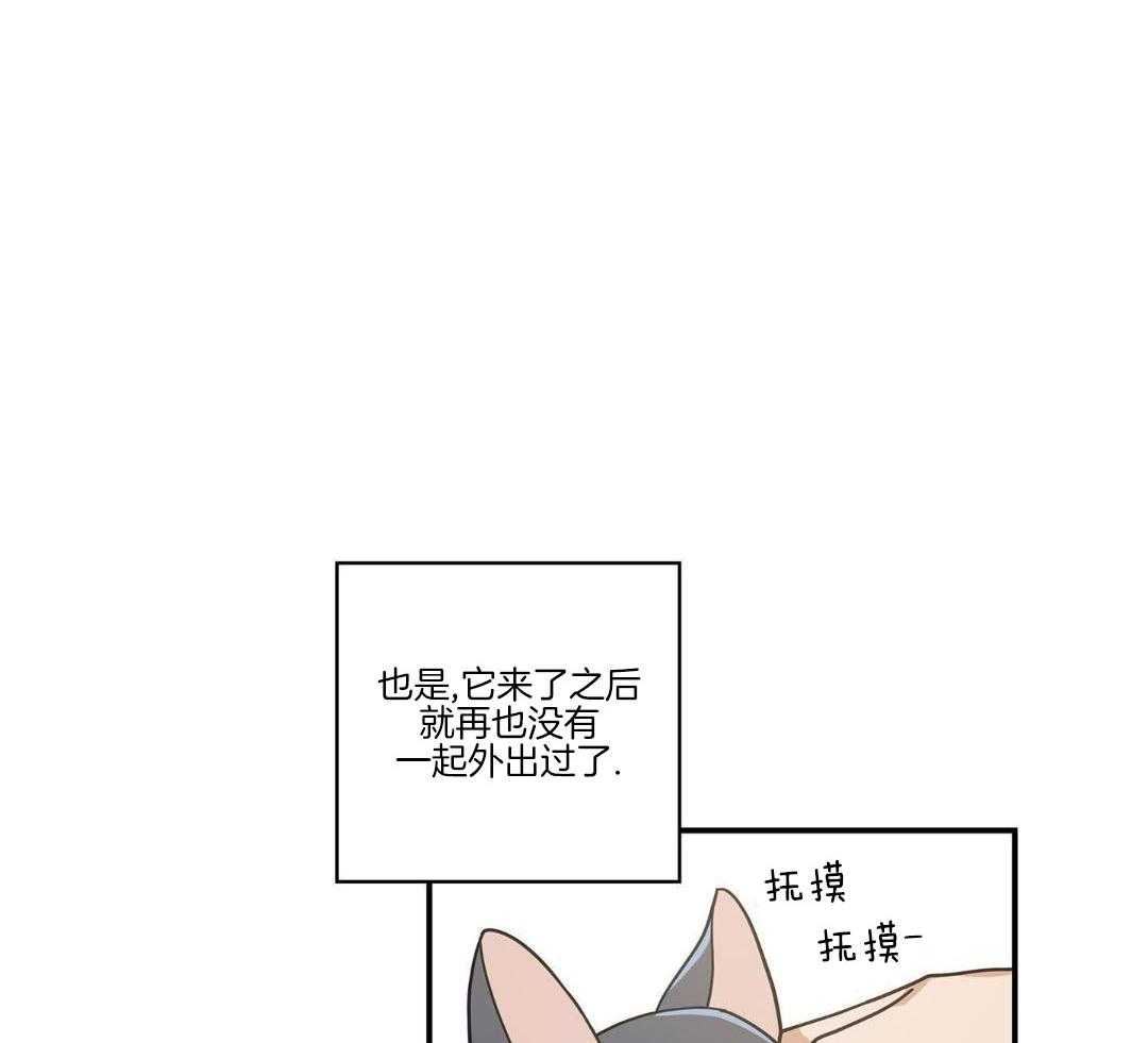 我唯一的猫猫漫画,第50话2图