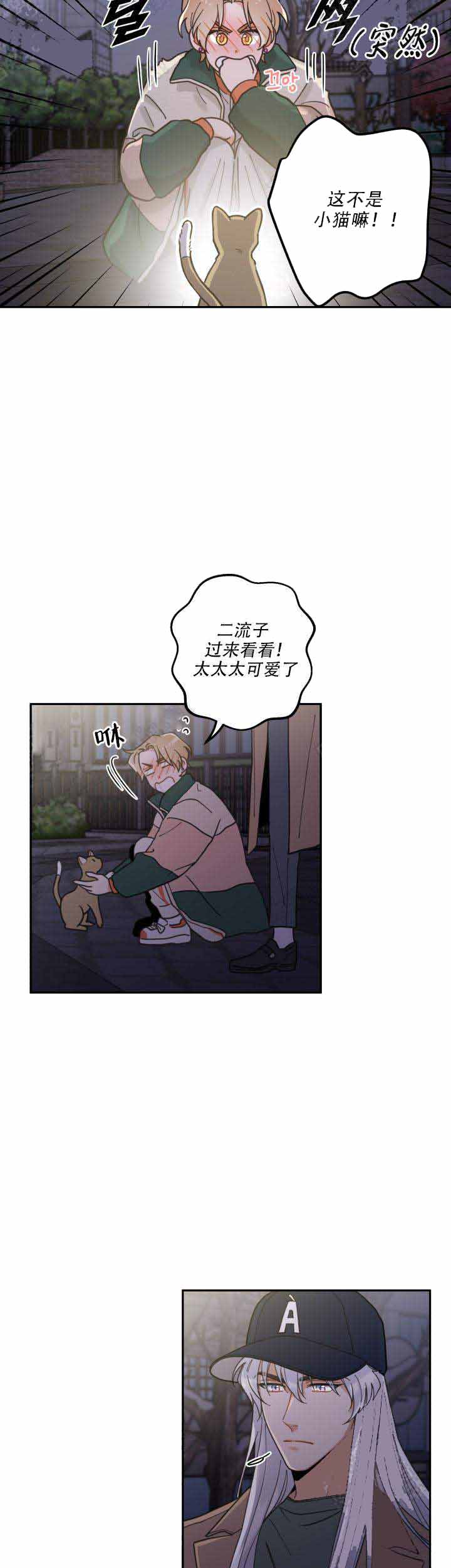 我唯一的猫用英语怎么说漫画,第17话2图