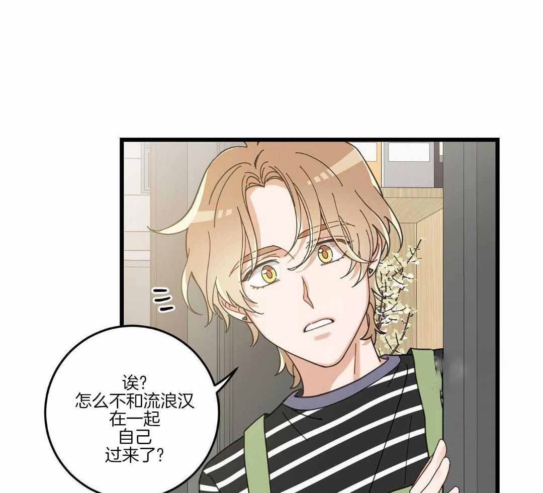 我唯一的猫猫第二季漫画,第58话2图