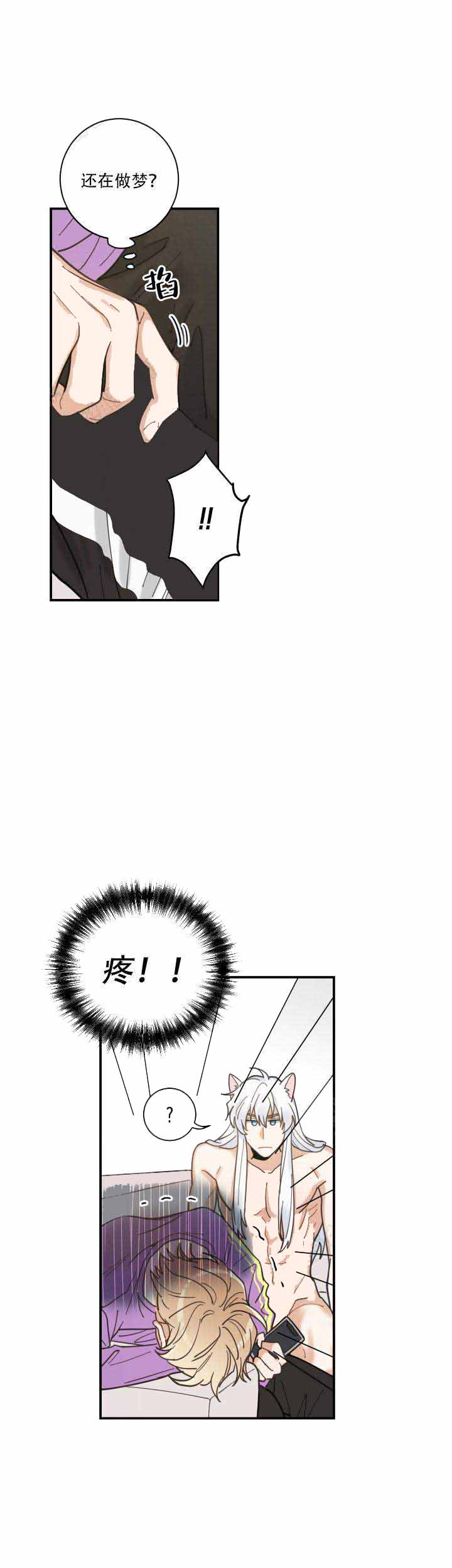 我唯一的猫猫无删除漫画漫画,第7话1图