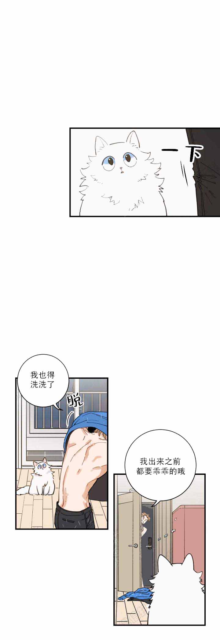 我唯一的猫猫漫画,第4话2图