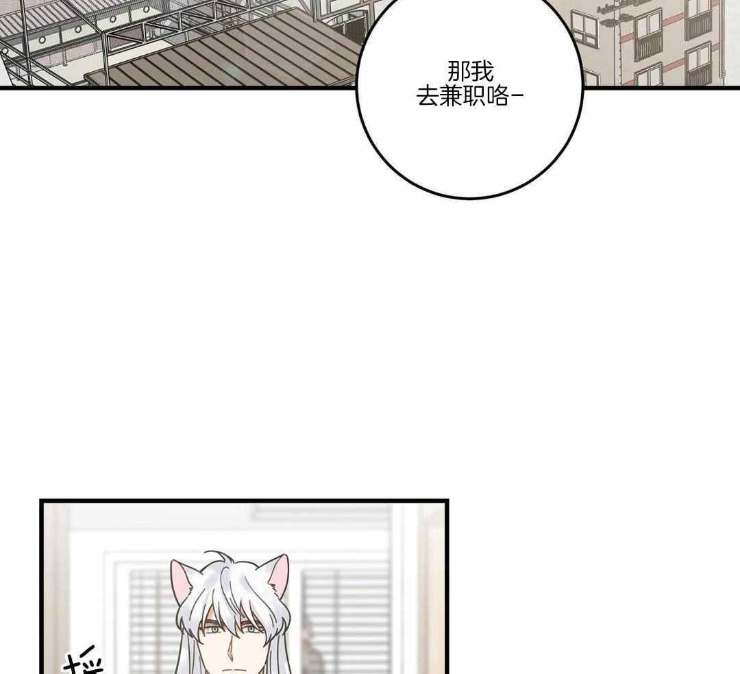 我唯一的猫游戏漫画,第54话2图