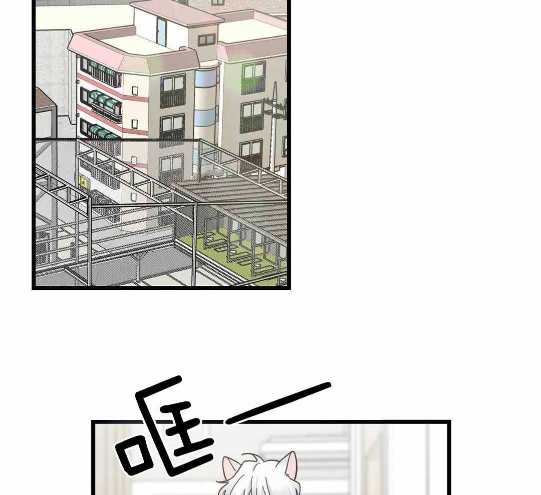 我唯一的猫漫画全集漫画,第46话2图