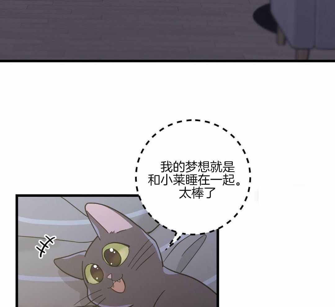 我唯一的猫猫漫画百度云漫画,第42话1图