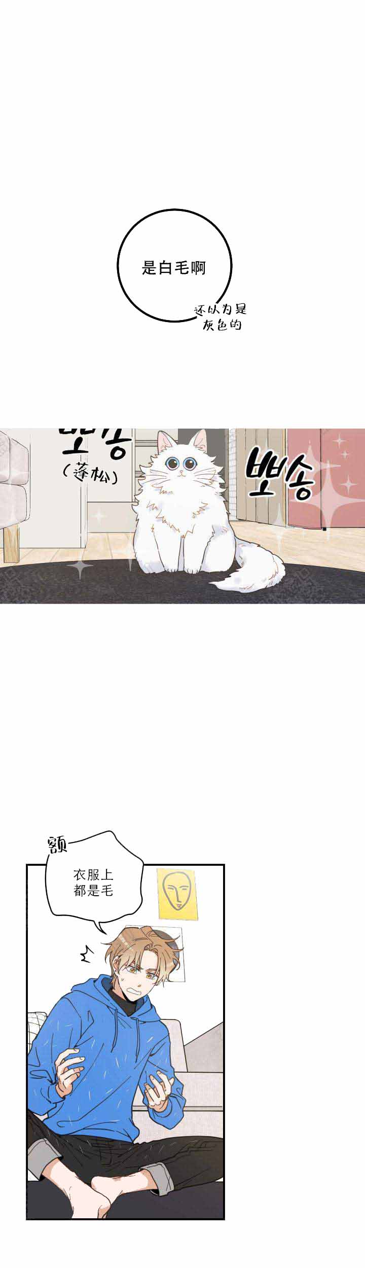 我唯一的猫猫漫画,第4话1图