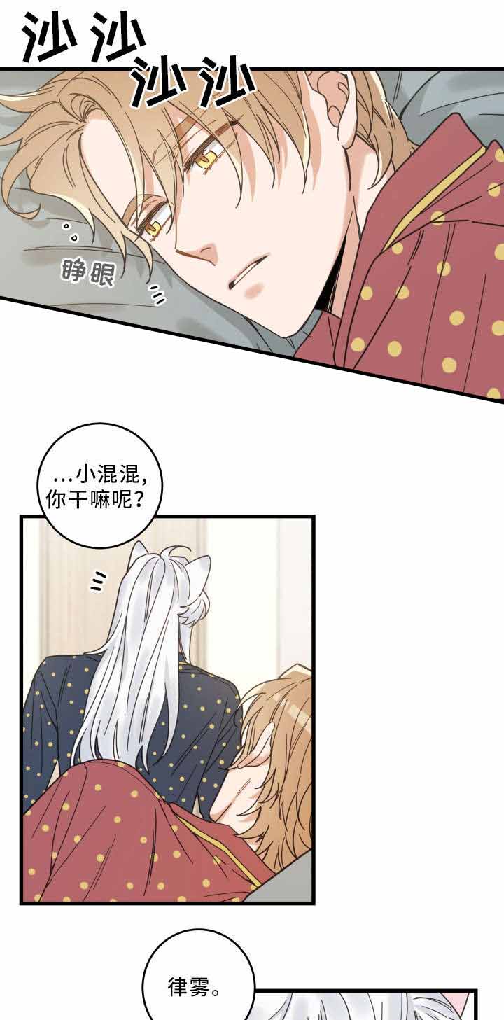 我唯一的猫猫无删除下拉式31话漫画,第31话2图