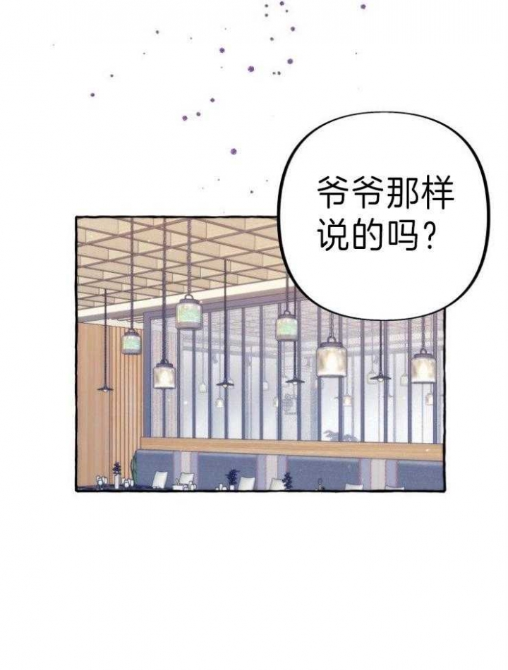 苹果手机禁止偷拍吗漫画,第57话2图