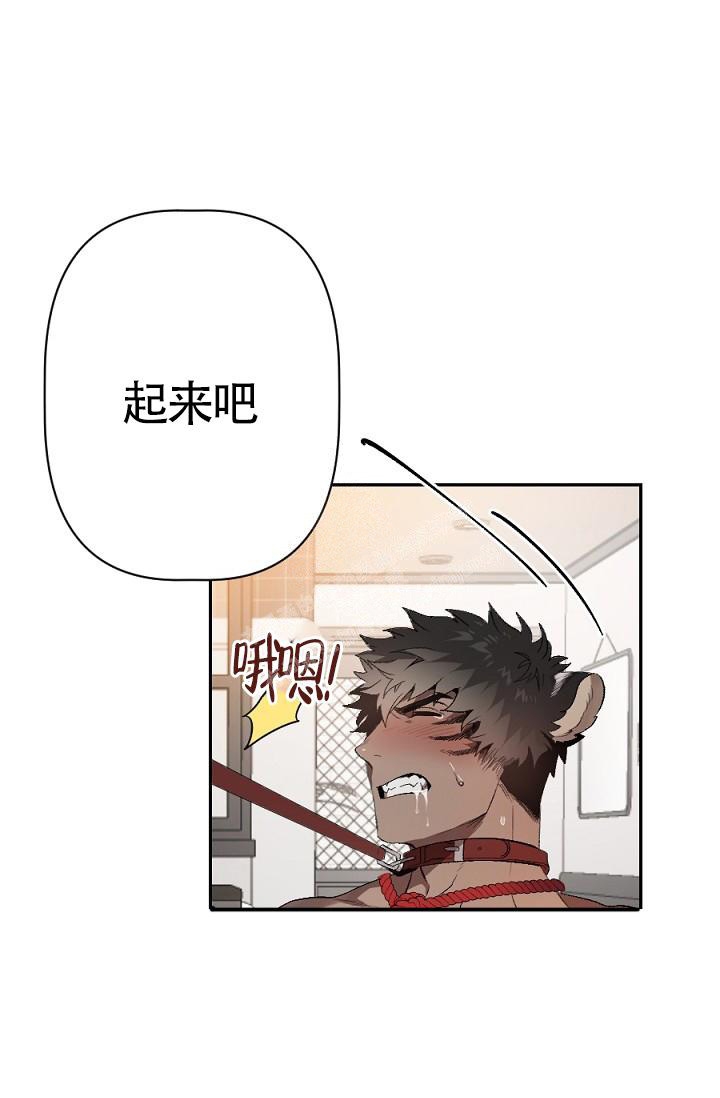 糟糕的夜吻全文免费漫画,第5话2图